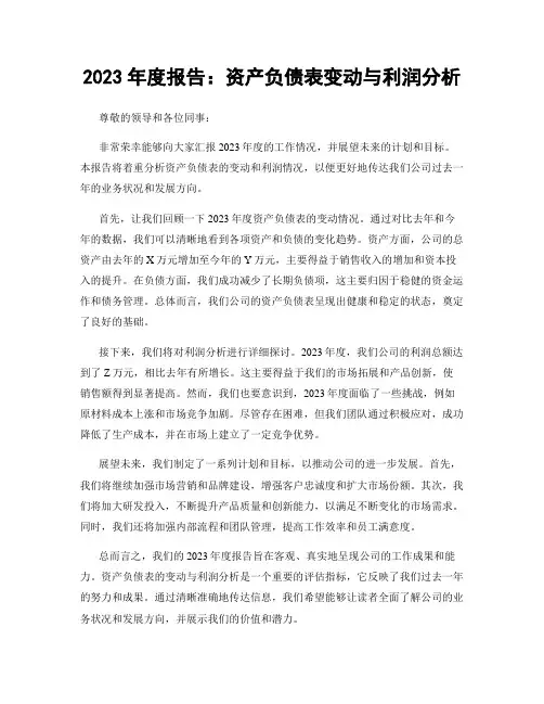 2023年度报告：资产负债表变动与利润分析