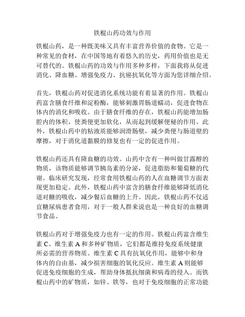 铁棍山药功效与作用