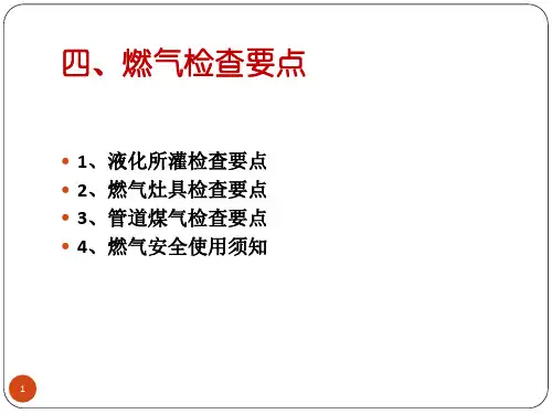 燃气安全检查要点
