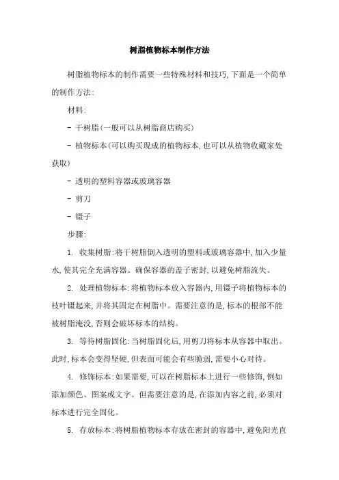 树脂植物标本制作方法