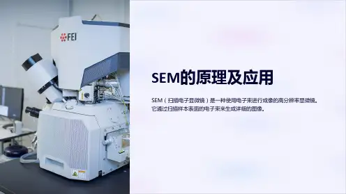 SEM的原理及应用