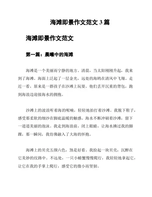 海滩即景作文范文3篇