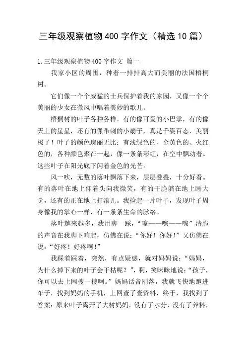 三年级观察植物400字作文(精选10篇)