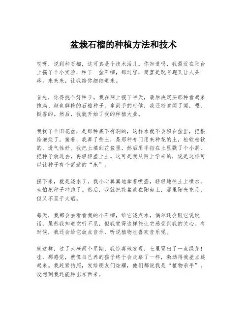 盆栽石榴的种植方法和技术