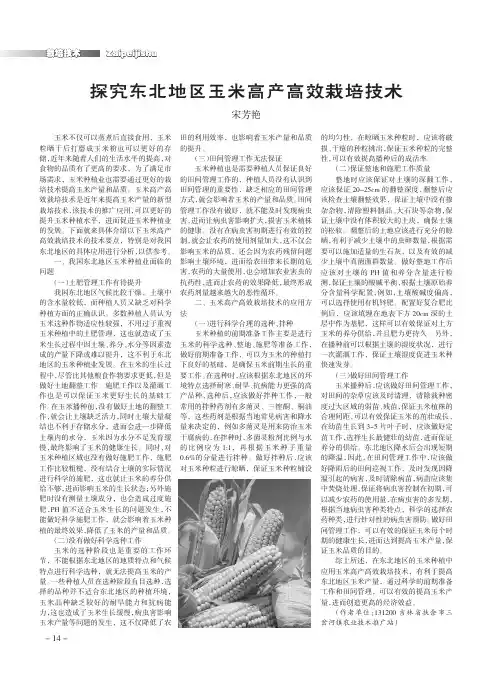 探究东北地区玉米高产高效栽培技术