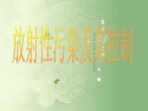 物理污染放射性污染及其控制(ppt 41页)