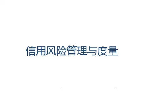 信用风险管理与度量课件