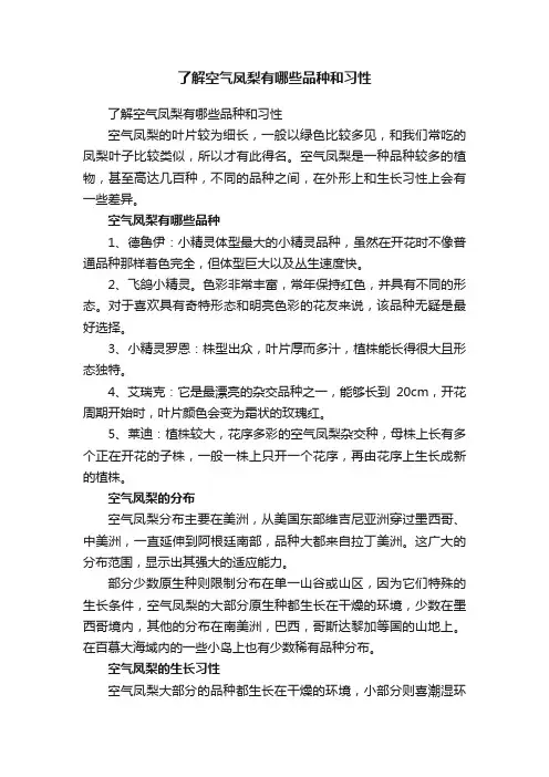 了解空气凤梨有哪些品种和习性