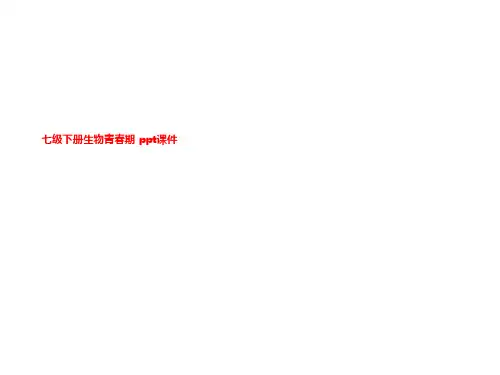 七级下册生物青春期 ppt课件