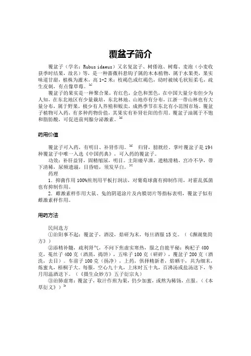 覆盆子简介
