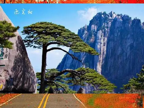 九年级化学上册《探究水垢的主要成份》
