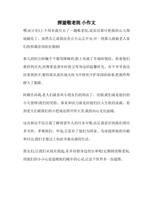 探望敬老院 小作文