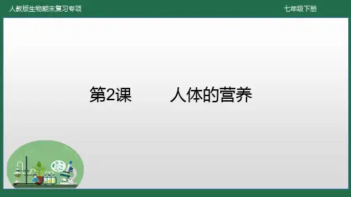 第2课 人体的营养-2022-2023学年七年级生物下学期期末冲刺满分复习课件
