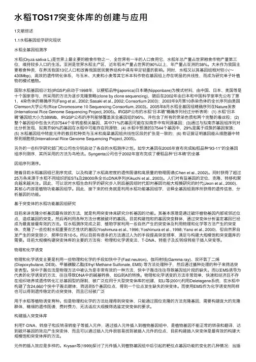 水稻TOS17突变体库的创建与应用