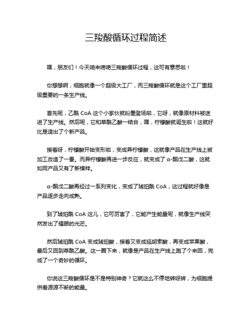 三羧酸循环过程简述