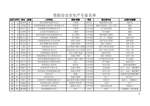 贵阳市安全生产专家名单g