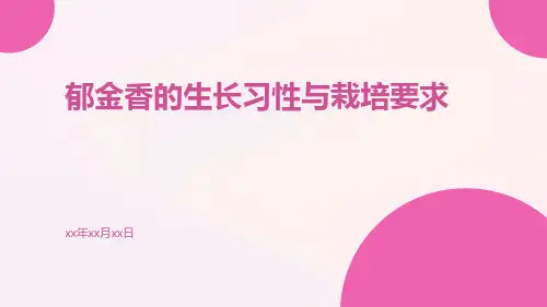 郁金香的生长习性与栽培要求
