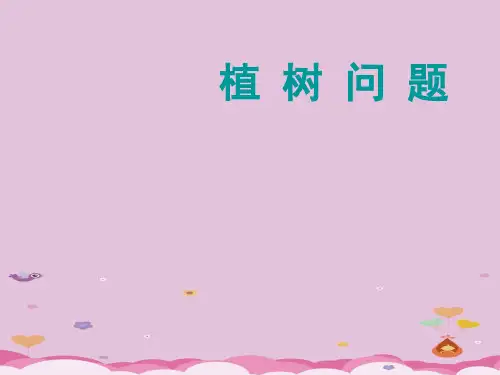 三年级上册数学课件-6.6 整理与提高(数学广场-植树问题)▏沪教版 (共25张PPT)