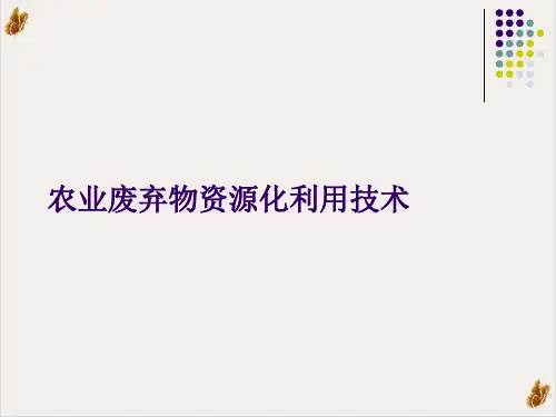 农业废弃物资源化利用技术课件ppt1