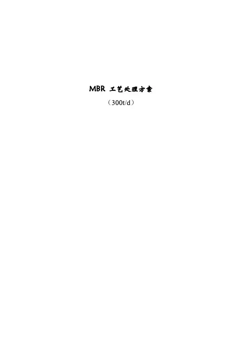 300吨天MBR设计方案