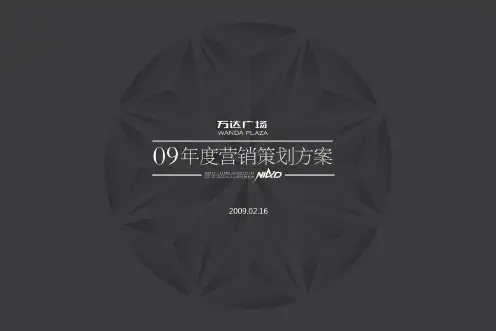 营销策略传播定位分析.pptx
