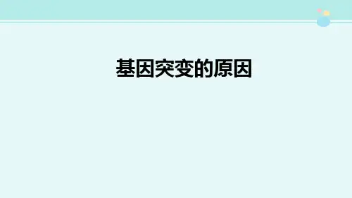基因突变的原因-精品PPT课件