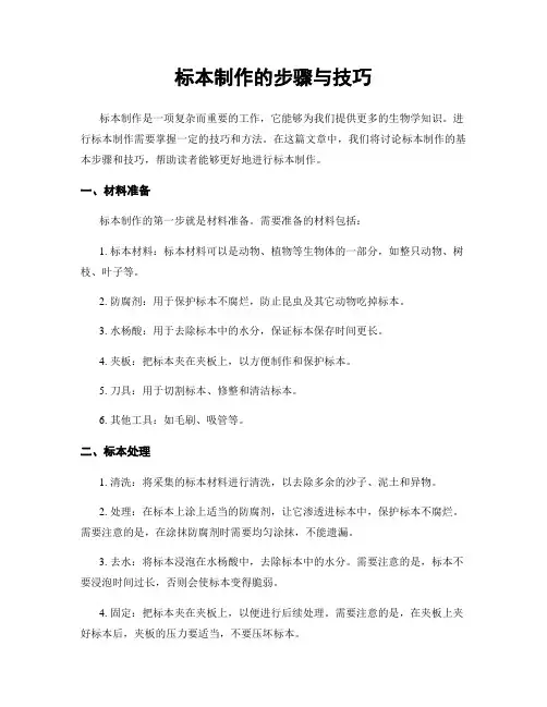标本制作的步骤与技巧