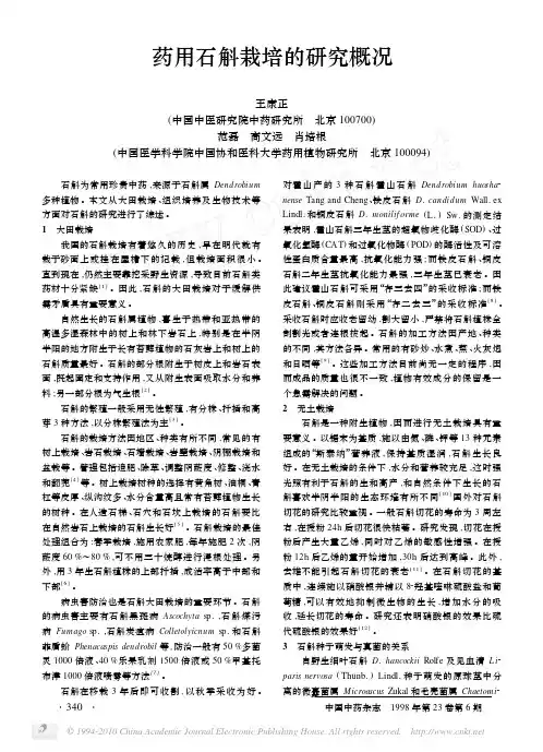 药用石斛栽培的研究概况