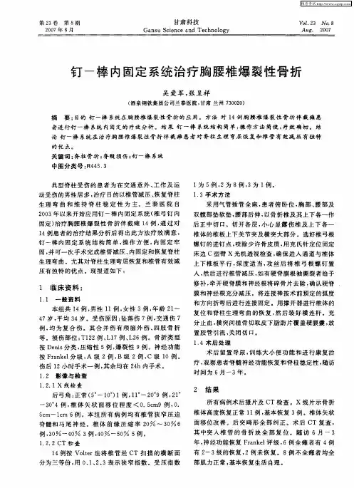 钉-棒内固定系统治疗胸腰椎爆裂性骨折