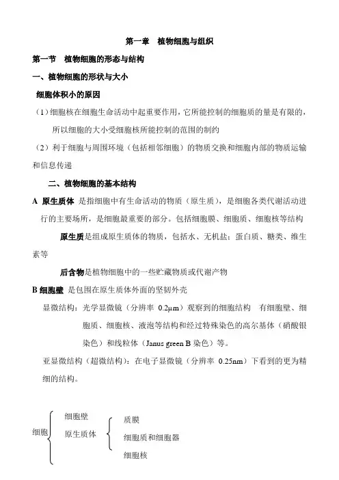 (完整版)植物生物学笔记整理