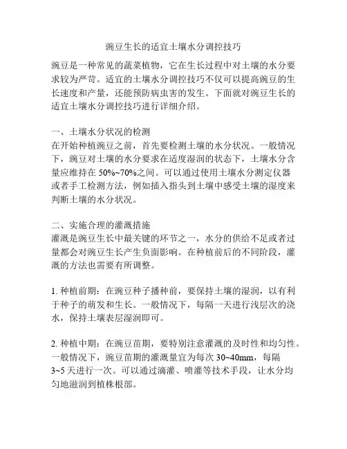 豌豆生长的适宜土壤水分调控技巧