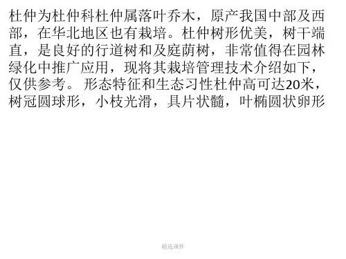 《杜仲栽培管理技术》