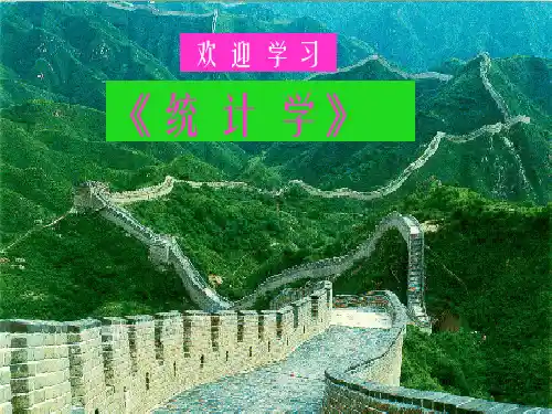 统计学 第一章总论