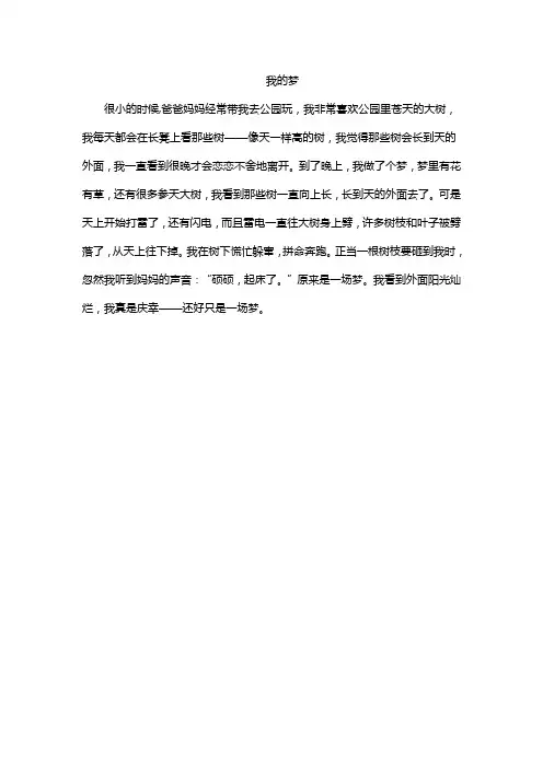 我的梦  