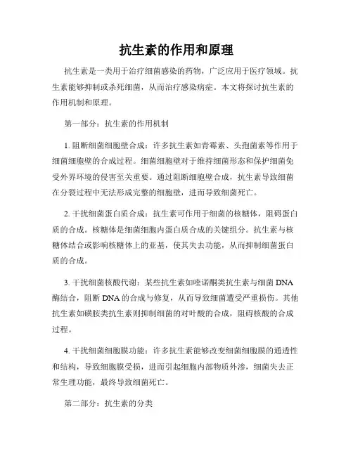 抗生素的作用和原理