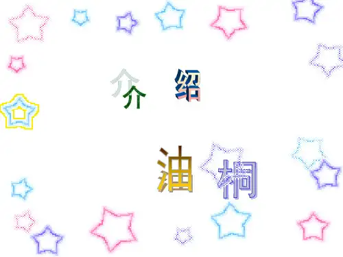 介绍油桐`