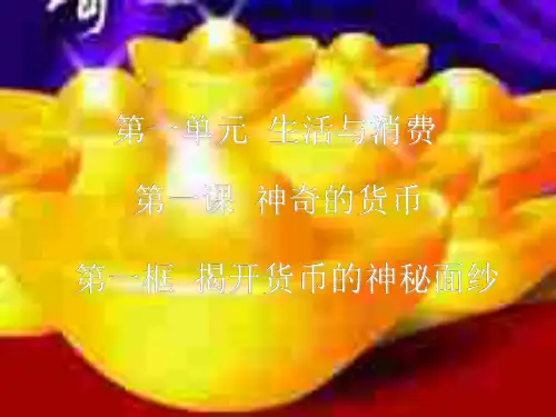 高一政治揭开货币的神秘面纱