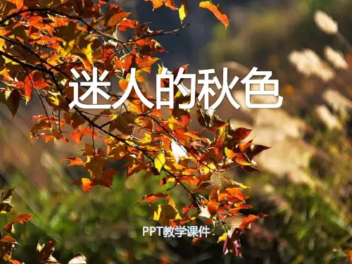 湘教版语文三上《迷人的秋色》pptPPT课件