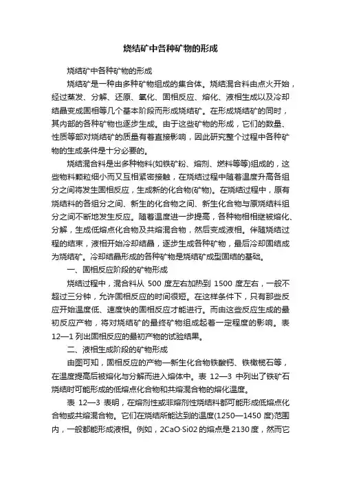 烧结矿中各种矿物的形成