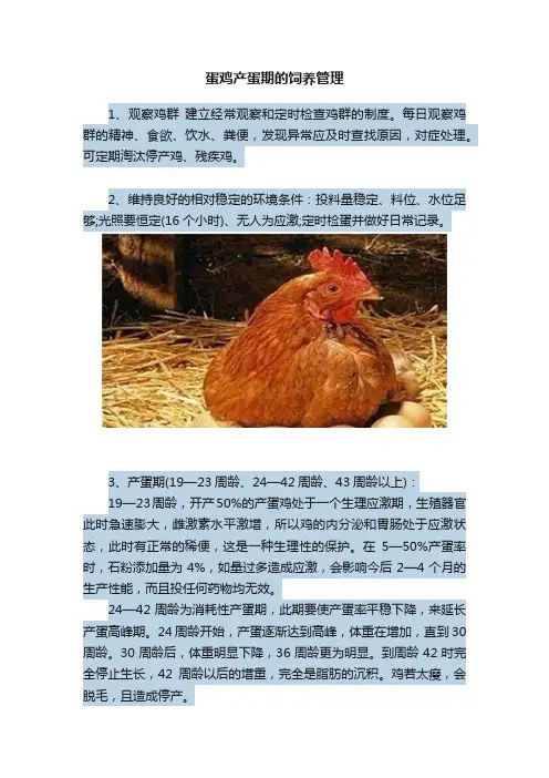 蛋鸡产蛋期的饲养管理
