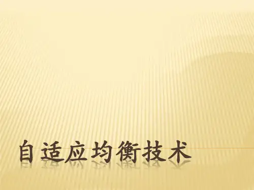 自适应均衡技术
