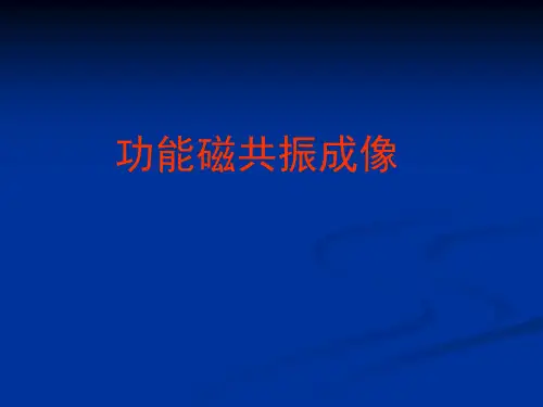 04fMRI
