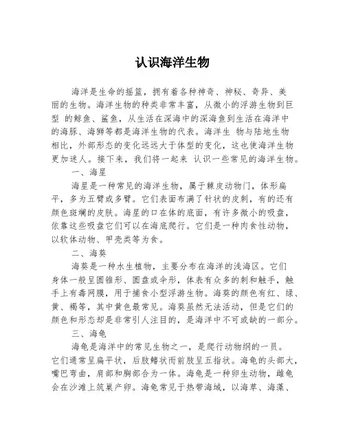 认识海洋生物