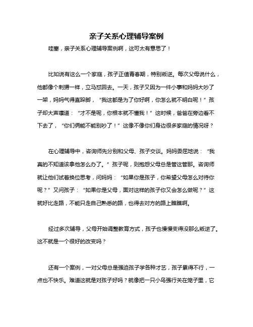 亲子关系心理辅导案例
