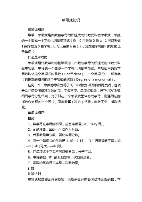单项式知识