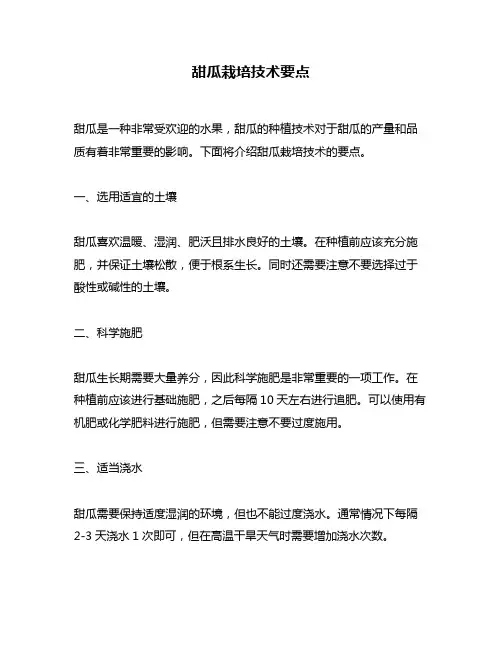 甜瓜栽培技术要点