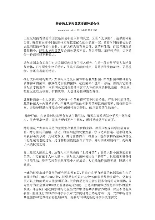 神奇的太岁肉灵芝多菌种复合体