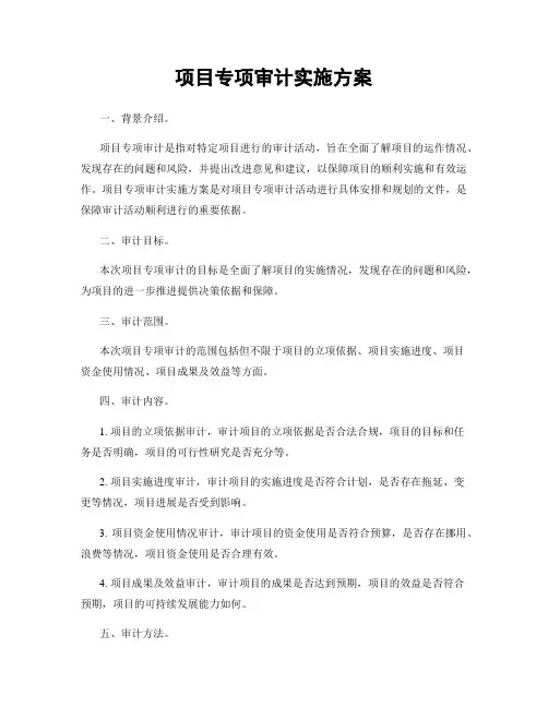 项目专项审计实施方案