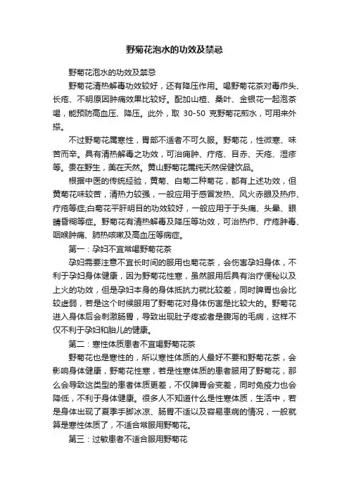 野菊花泡水的功效及禁忌
