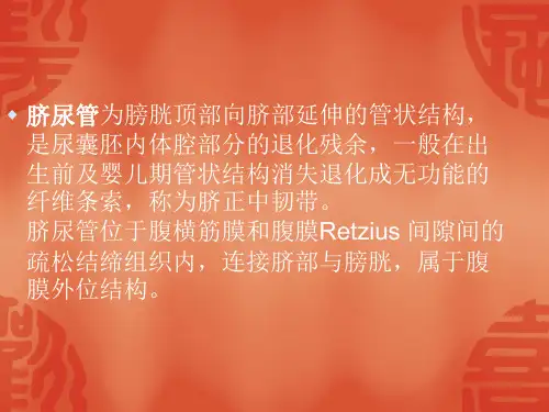 脐尿管病变的表现